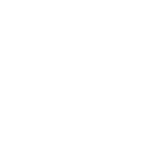 Revenue Generation